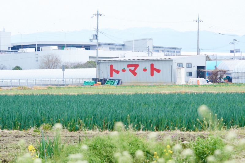 戸田農園の名物トマトの直売所