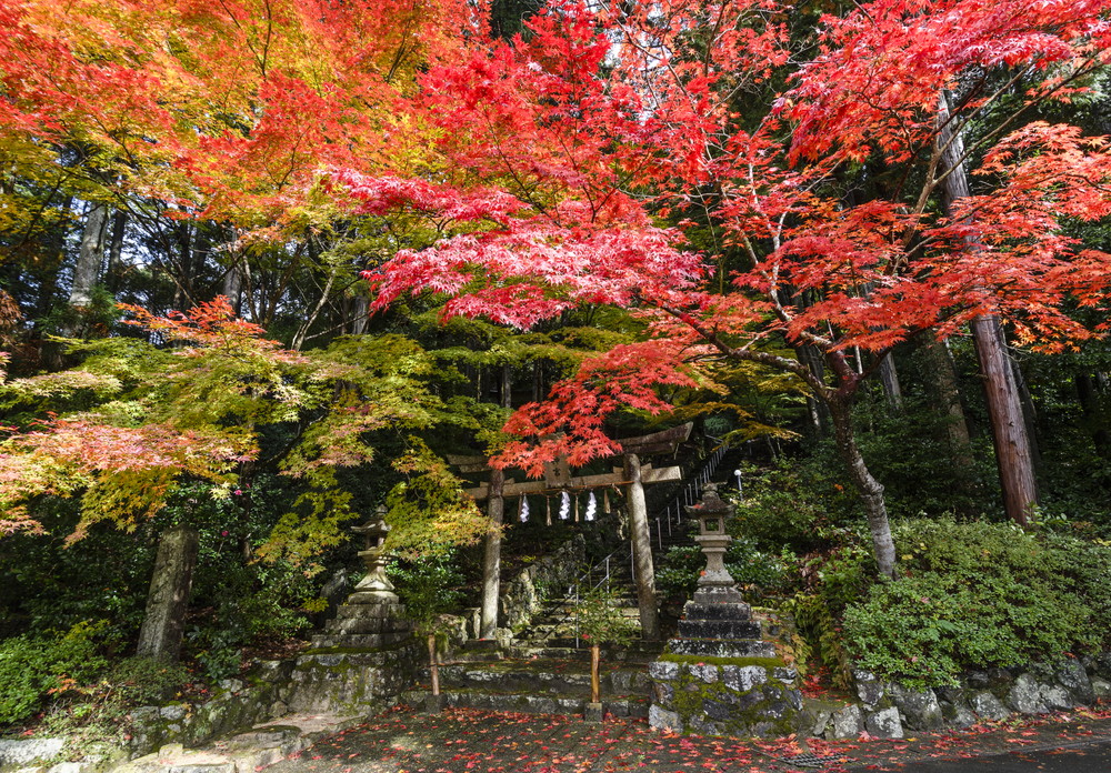 大道神社