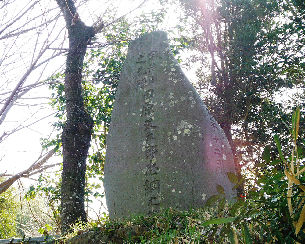 田原又太郎忠綱の墓