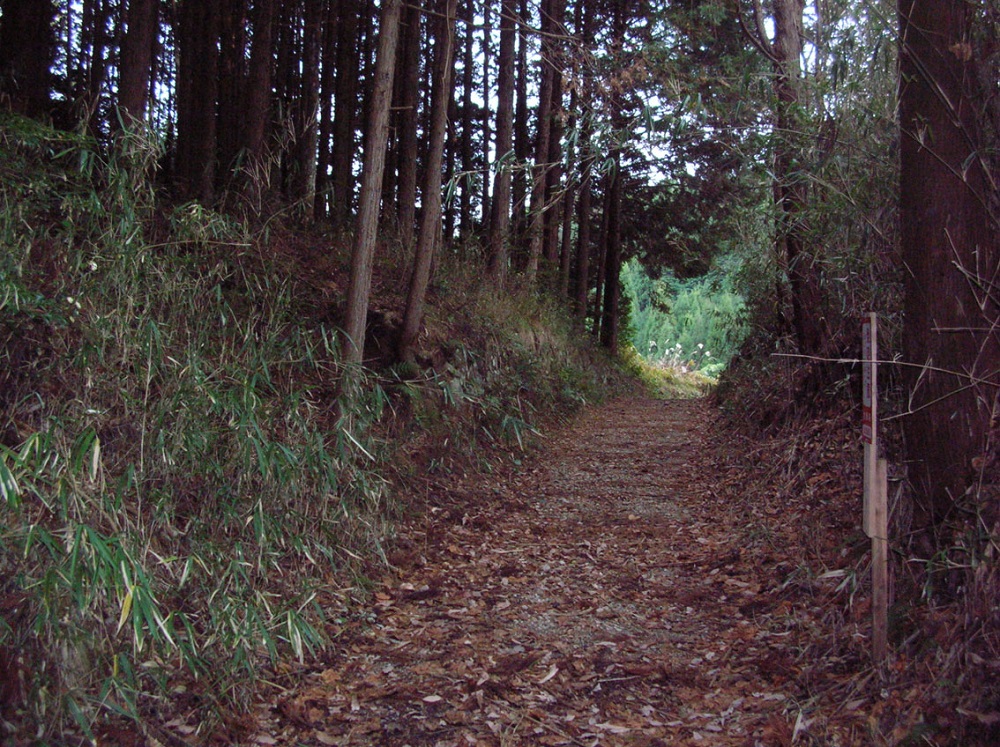 宇治田原歴史の道　信楽街道～家康伊賀越えの道