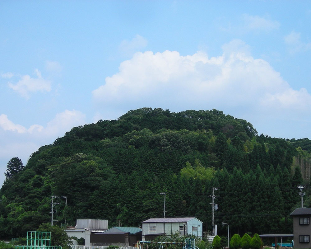 岩本城跡