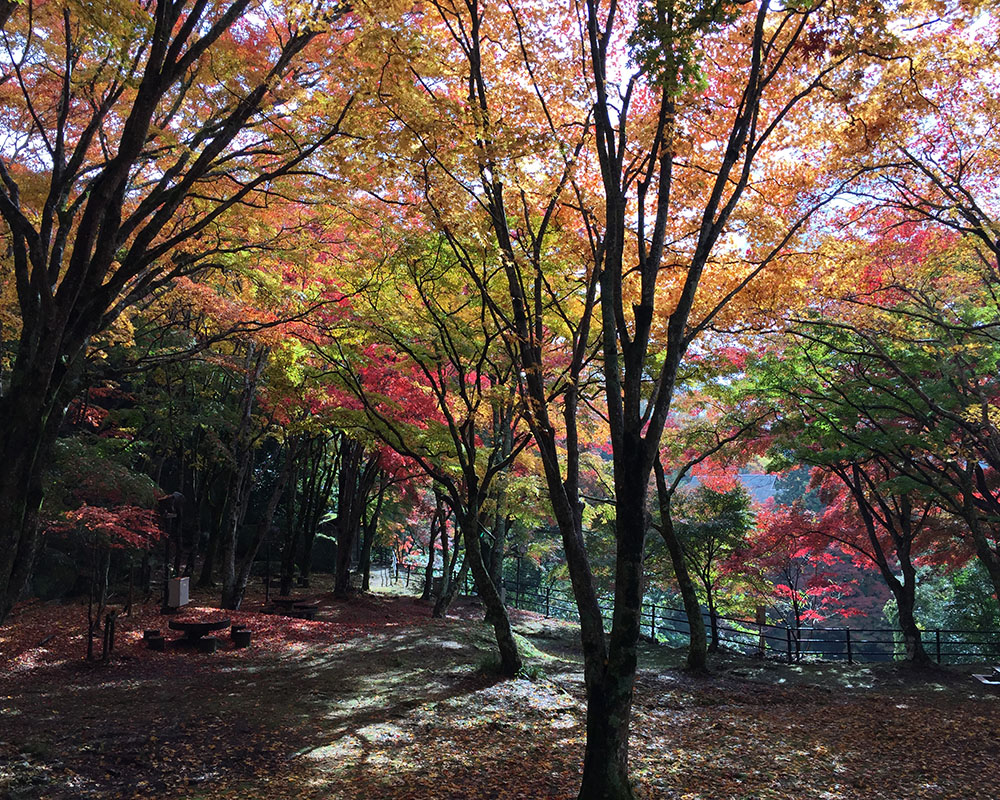 京都府立笠置山自然公園