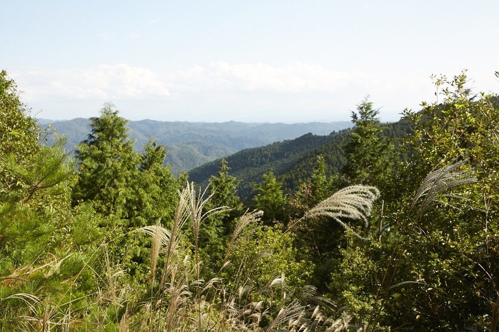 鷲峰山