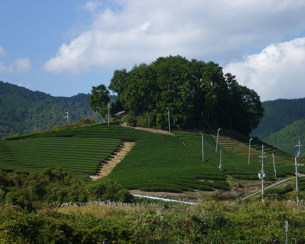 安積親王陵墓