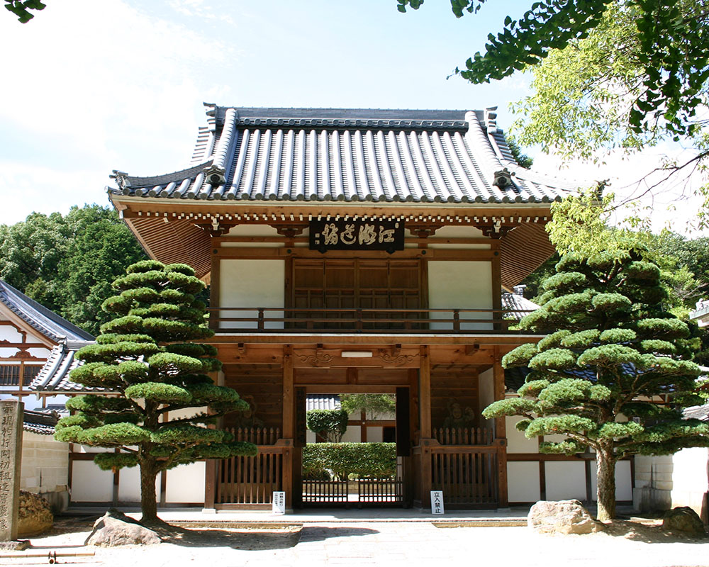 円福寺（達磨堂）