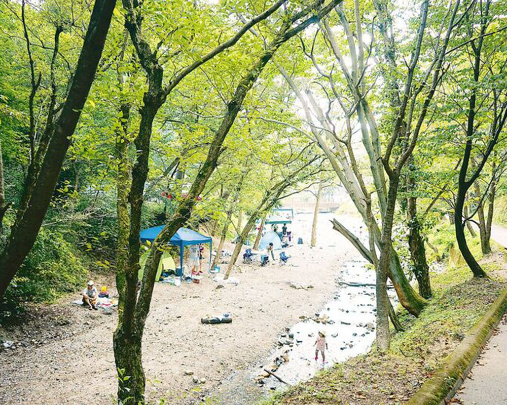 山城町森林公園（レストヴィレッジ山城）