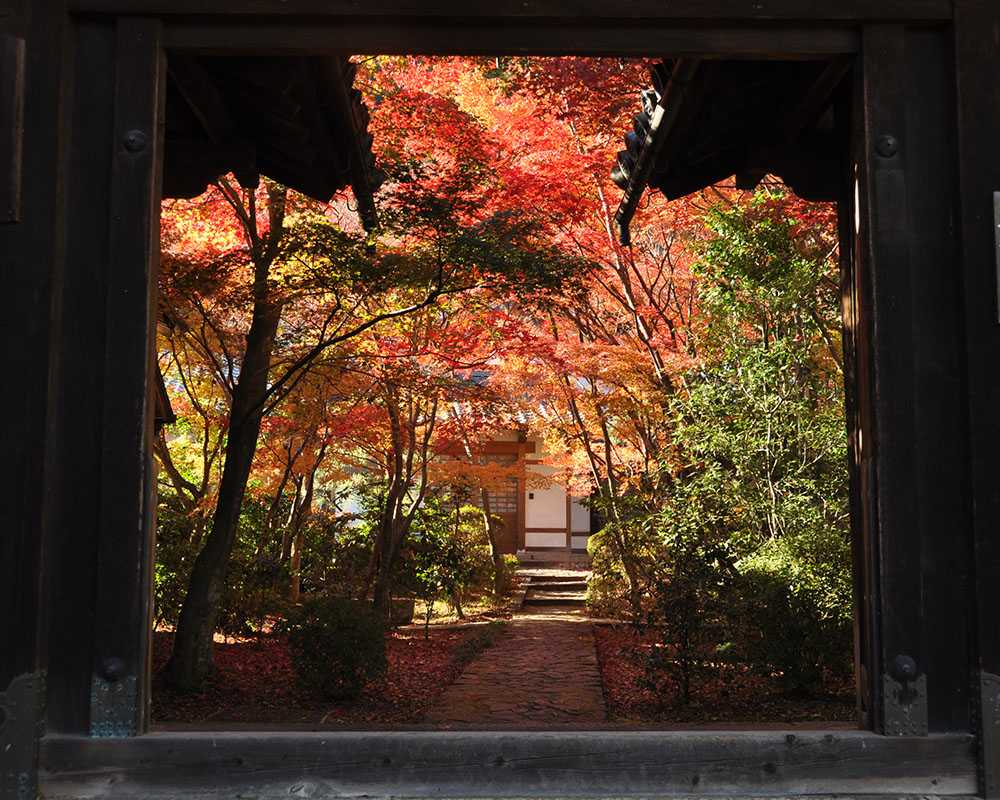 善法律寺