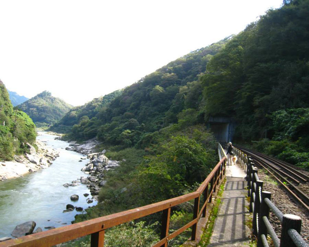 東海自然歩道