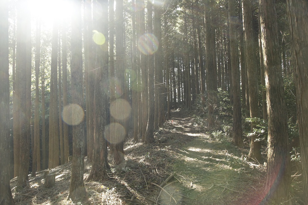 宇治田原歴史の道　鷲峰山登山道～祈りの参詣道