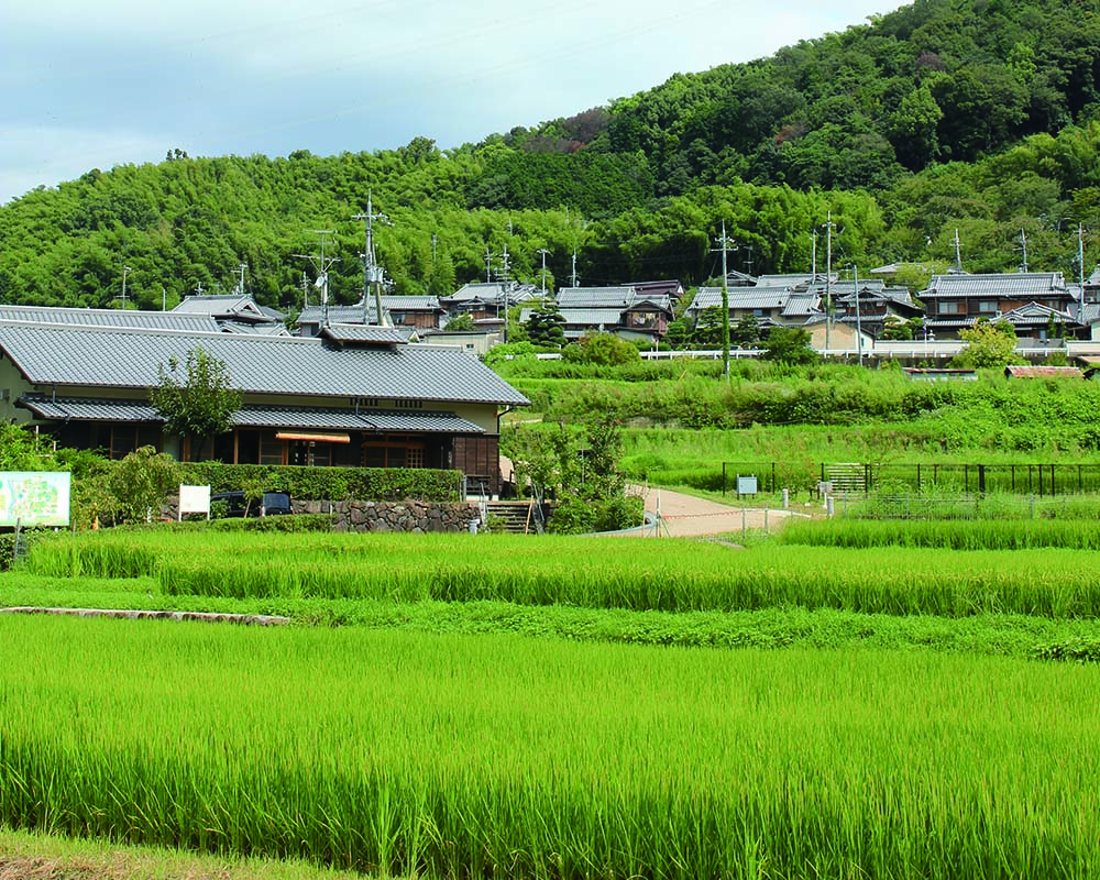 井手町まちづくりセンター 椿坂