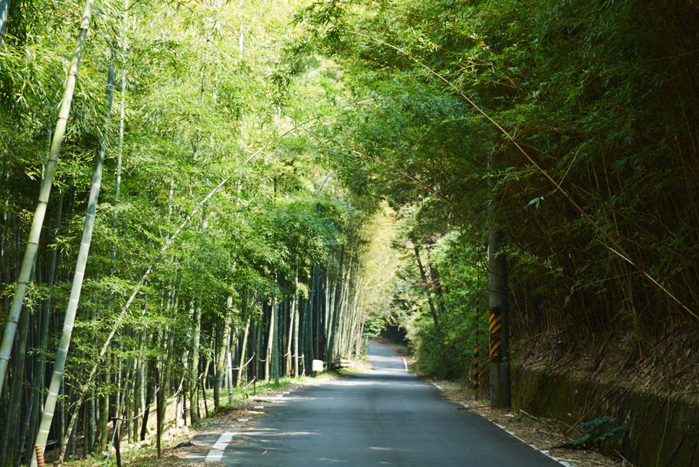 山背古道（やましろこどう）