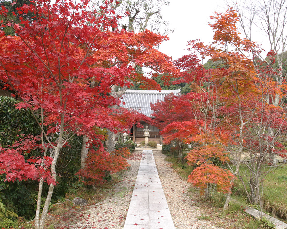 大御堂観音寺