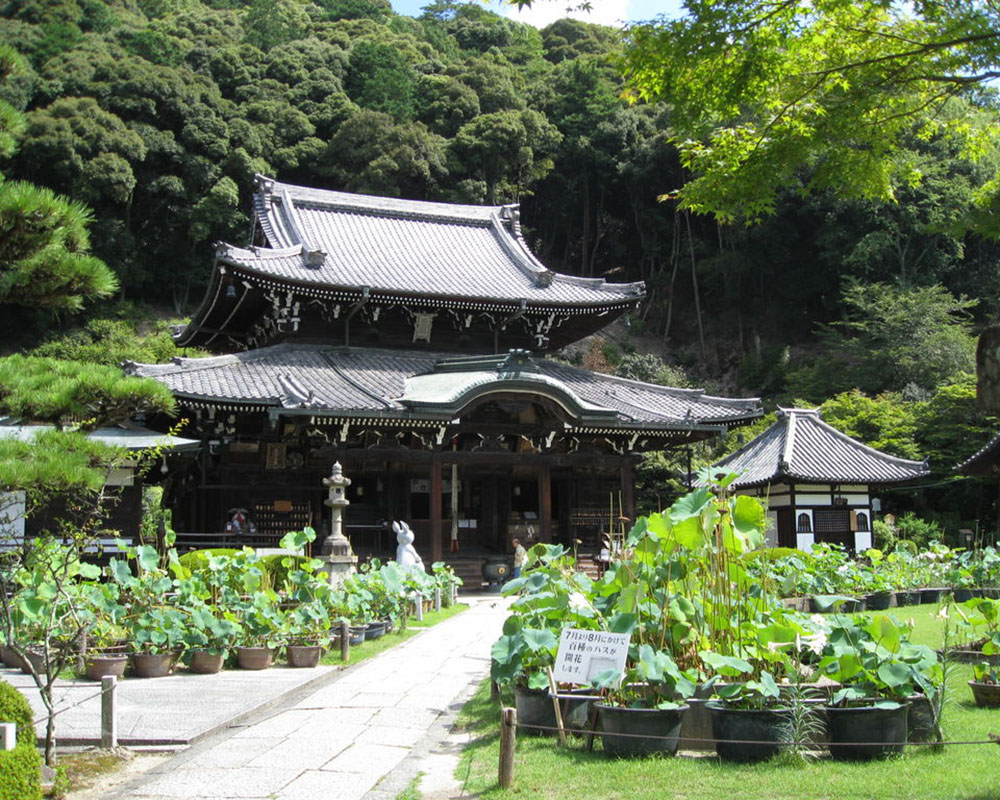 三室戸寺