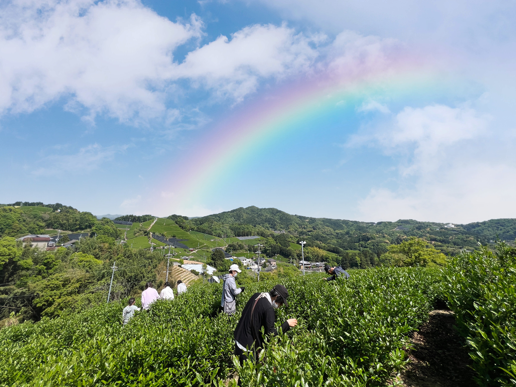 郷土料理体験教室　和束家