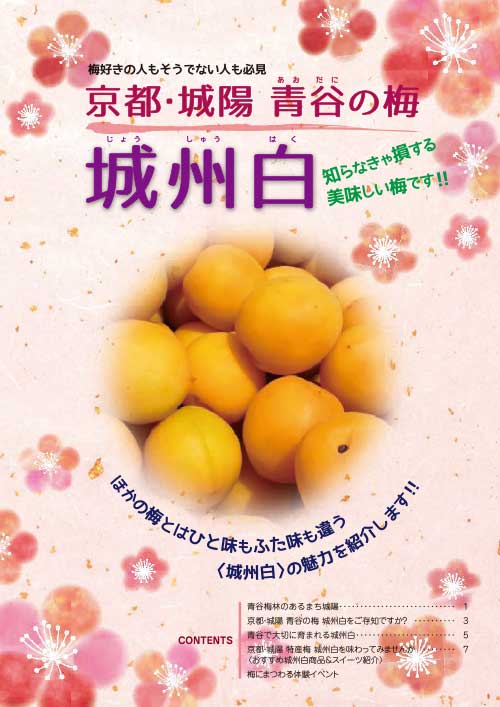  PR冊子「京都・城陽青谷の梅　城州白」
