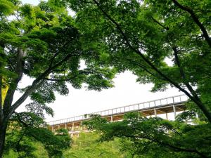 けいはんな記念公園：夏　紅葉谷　色濃く