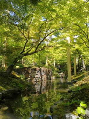 けいはんな記念公園：春　紅葉谷　緑いろ