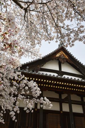 正法寺6