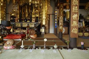 浄安寺：椿展1