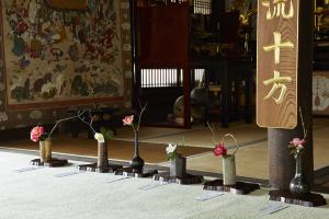 浄安寺：椿展3