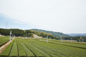 ふれあい交流施設（西ノ山展望広場）1
