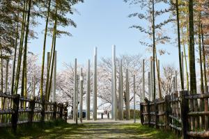 ふれあい広場：桜4