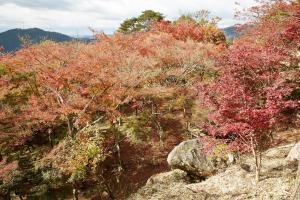 京都府立笠置山自然公園（もみじ公園）：紅葉2
