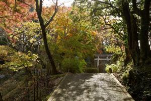 京都府立笠置山自然公園（もみじ公園）：紅葉4