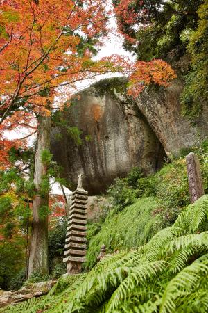 京都府立笠置山自然公園（もみじ公園）：紅葉8　笠置寺