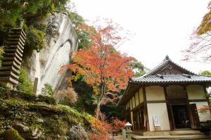京都府立笠置山自然公園（もみじ公園）：紅葉9　笠置寺