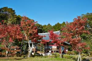 大御堂観音寺：紅葉2