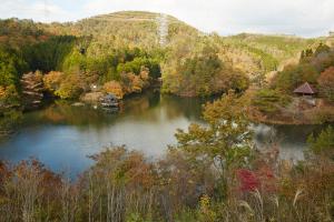 大正池グリーンパーク：紅葉1