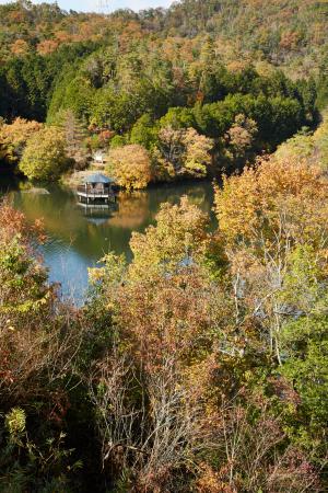 大正池グリーンパーク：紅葉２