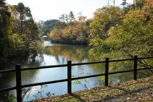 大正池グリーンパーク：紅葉4