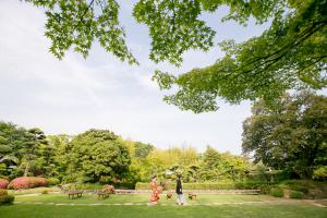 松花堂庭園：青もみじ7