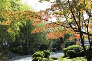 松花堂庭園：秋1