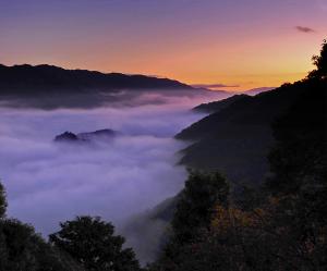 笠置町：雲海