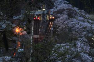 笠置駅と桜