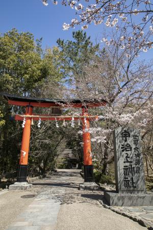 宇治上神社2