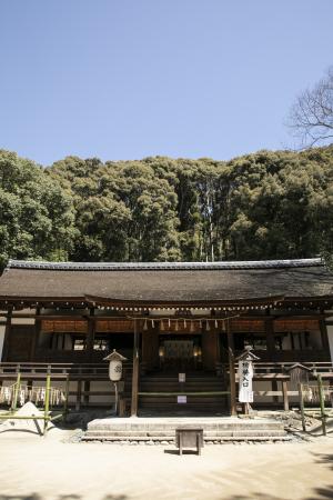 宇治上神社7