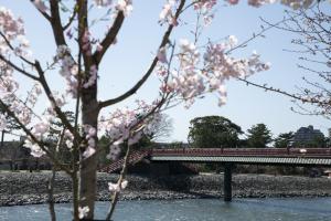 朝霧橋3