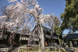 縣神社2