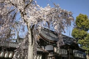 縣神社4