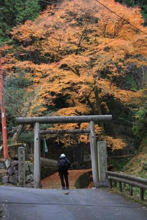 茶宗明神社