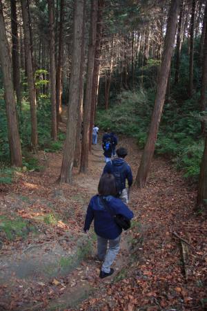 甘南備山（伊賀越えの道）