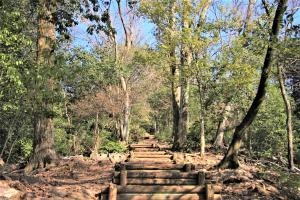 冒険の道　天ケ瀬森林公園