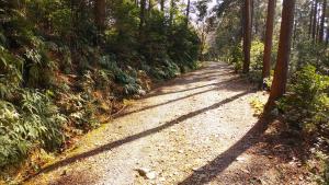 槇尾山林道　天ケ瀬森林公園