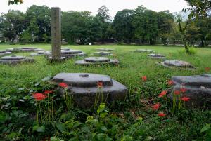 恭仁京の秋：山城国分寺跡