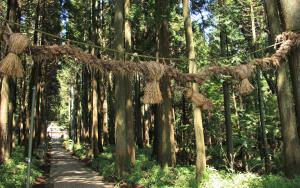 勧請縄　六所神社