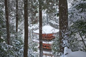 雪の岩船寺三重塔(重文)